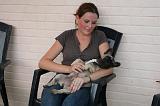 ADULTE ET CHIEN 509